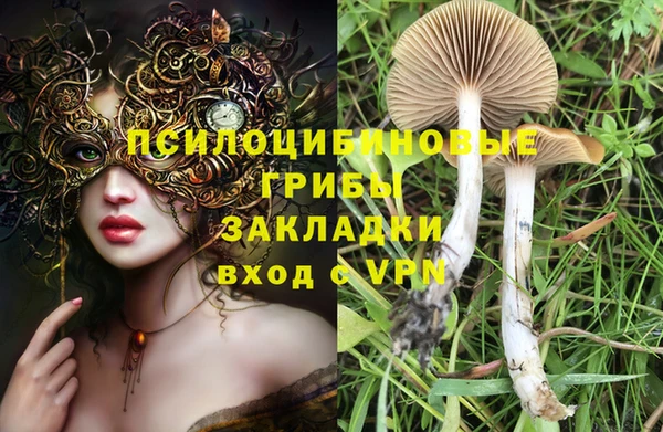 Альфа ПВП Верхнеуральск