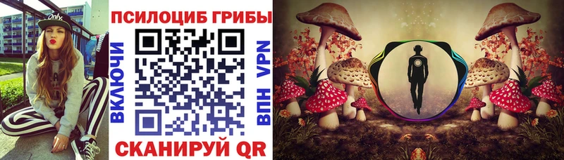 Псилоцибиновые грибы Cubensis  hydra как войти  Симферополь 